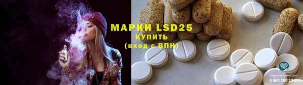 прущие грибы Алексин