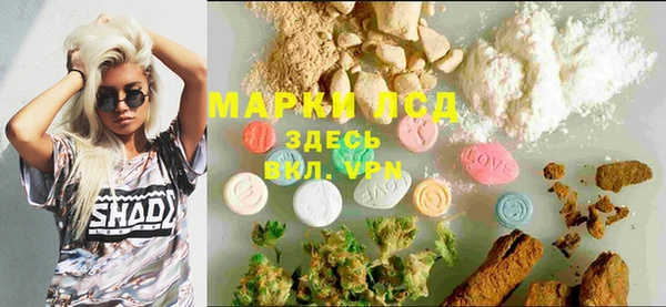 хмурый Абаза