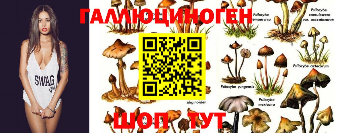 Абакан  Галлюциногенные грибы ЛСД  Вход с VPN  Псилоцибиновые грибы ЛСД 