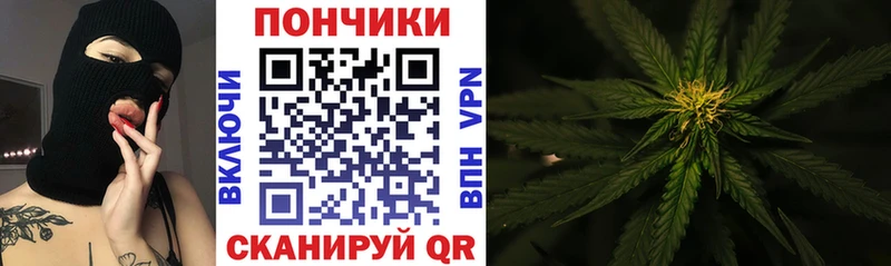 Каннабис планчик  Абакан 